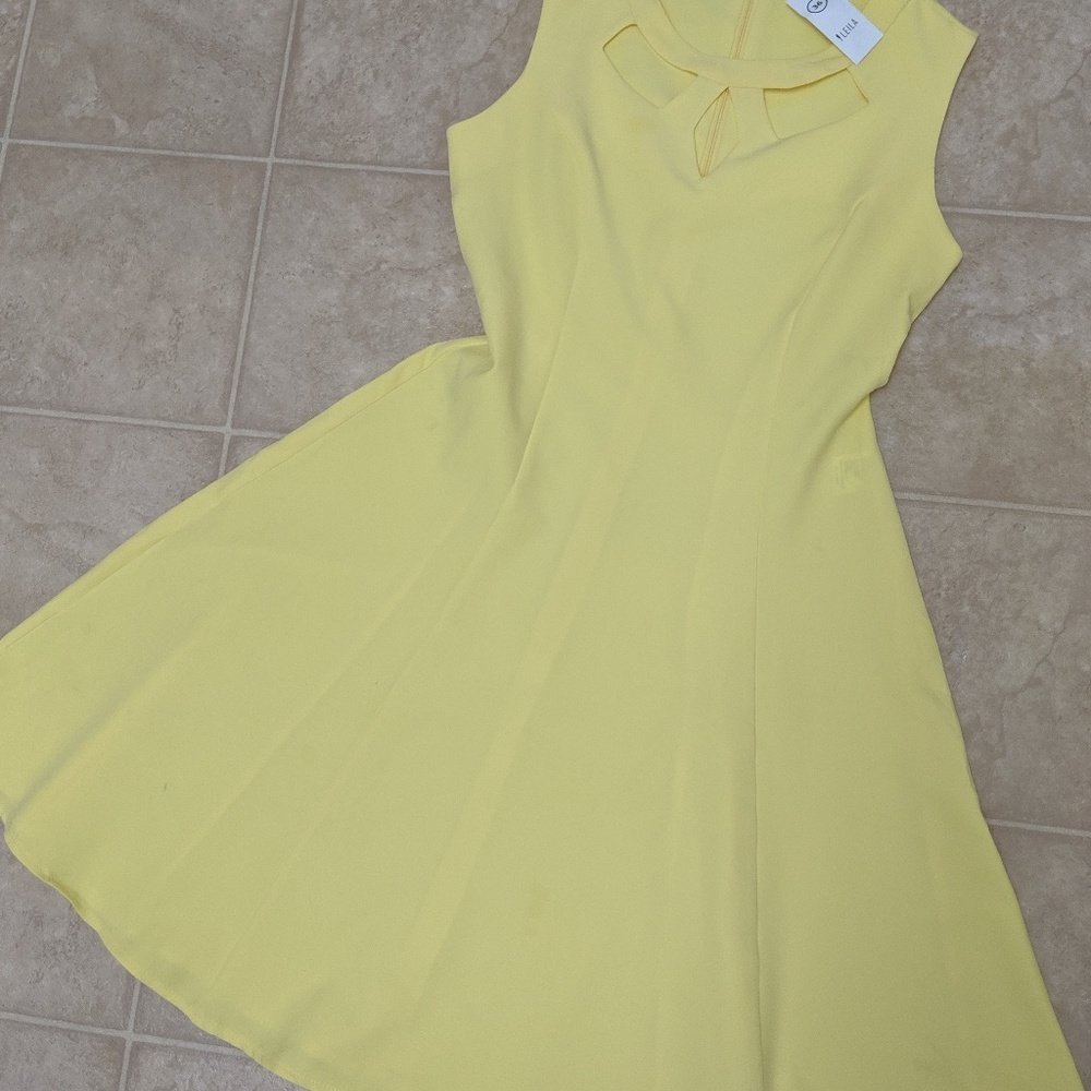 NWT Yellow Fit and Flare Dress